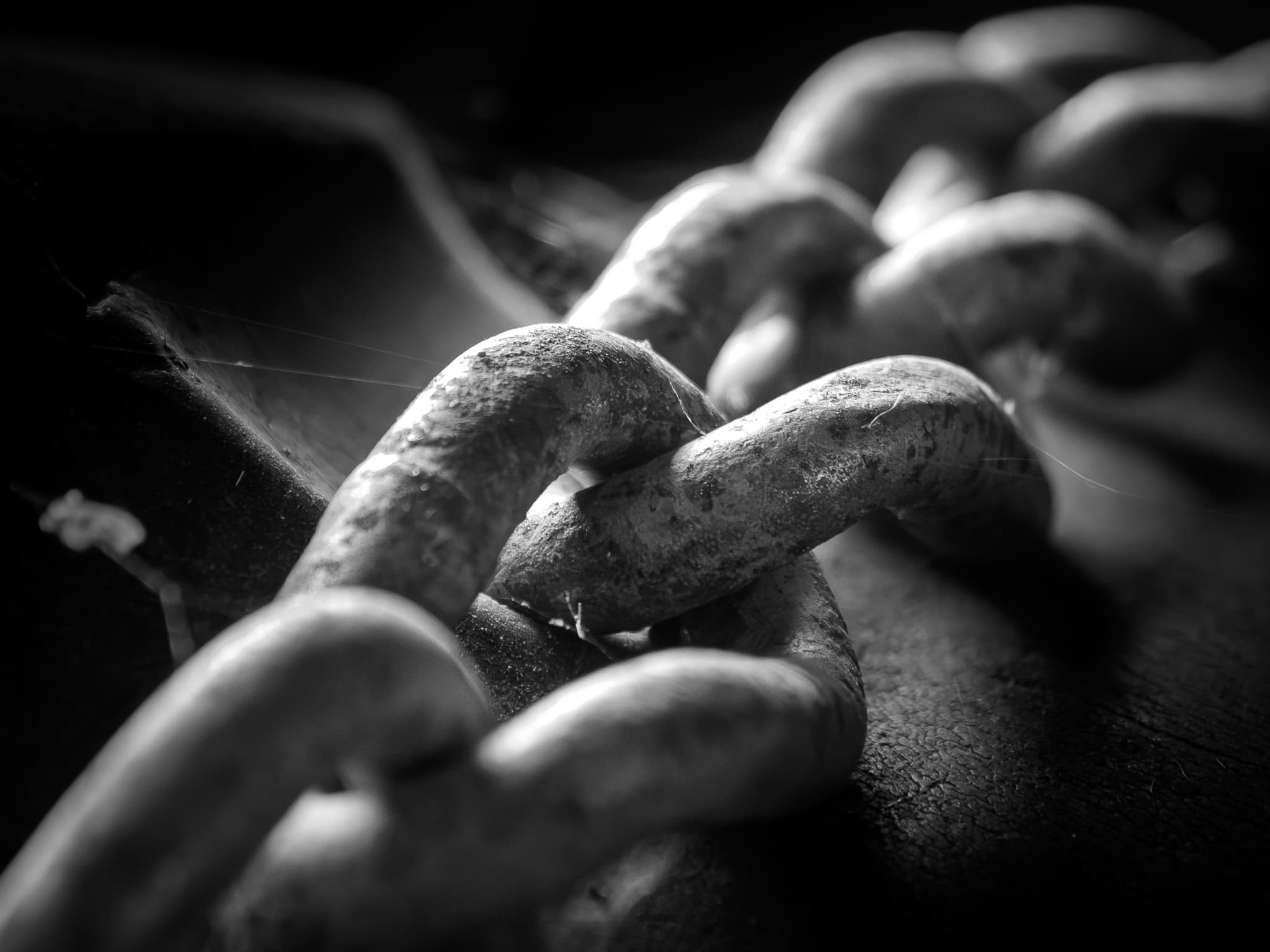 Forged and Forgotten