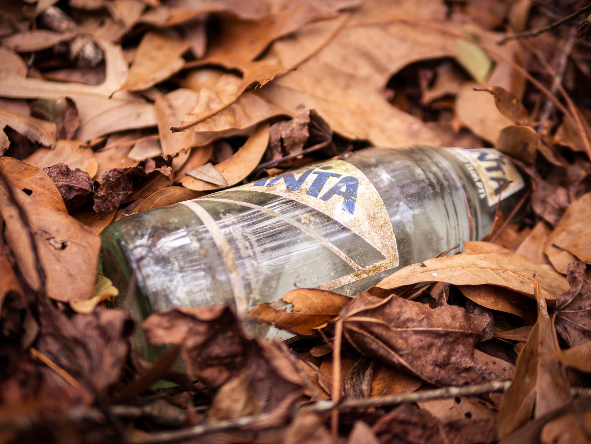 Forgotten Fanta