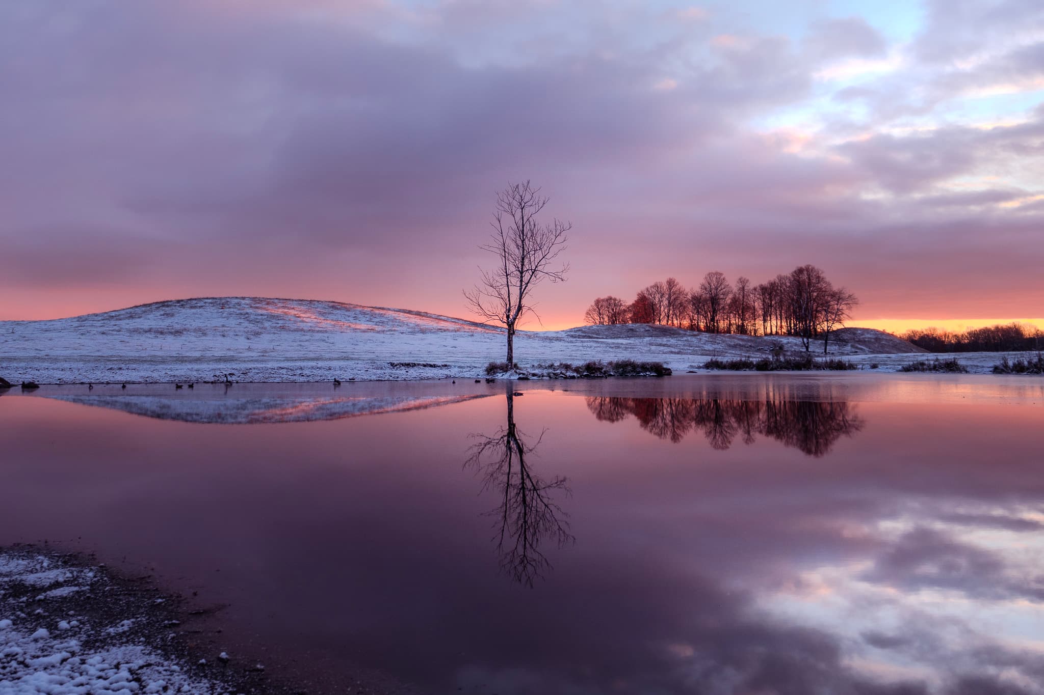 Reflections of Purple – Winter Sunrise Stillness