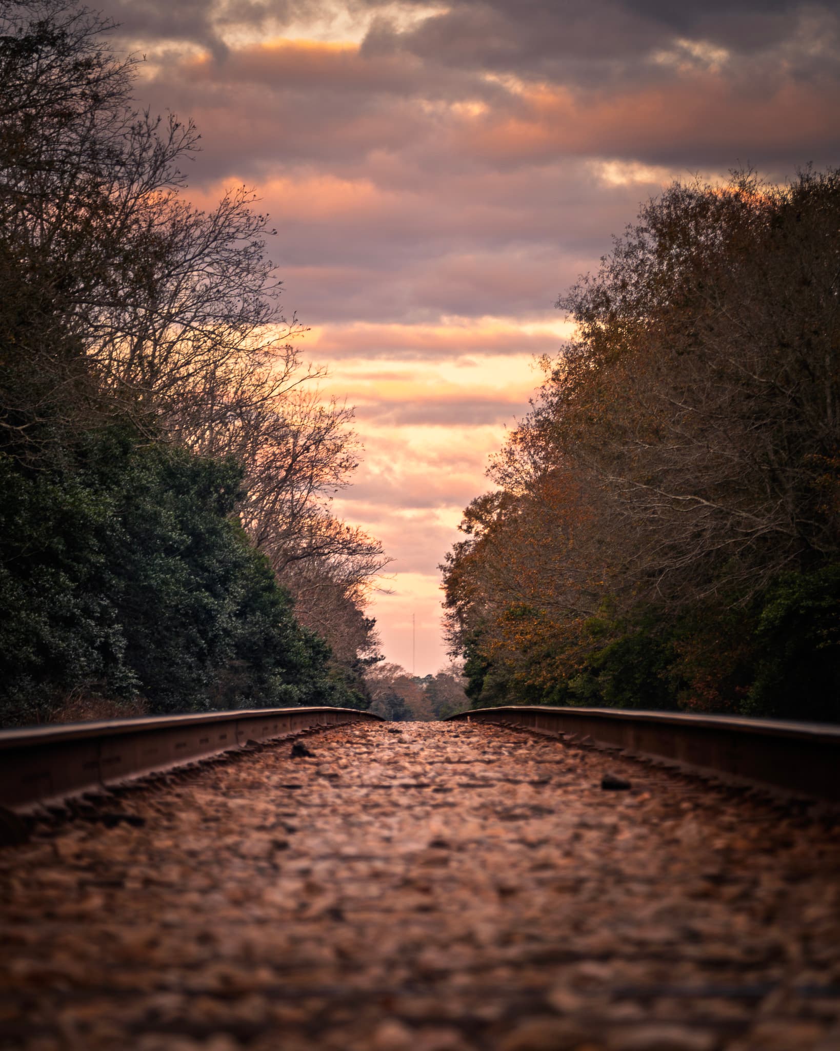 Tracks at Dawn
