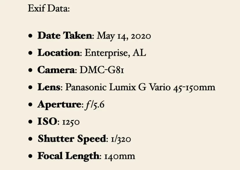 Frontend output of the EXIF shortcode showing camera, aperture, ISO, shutter speed, and focal length
