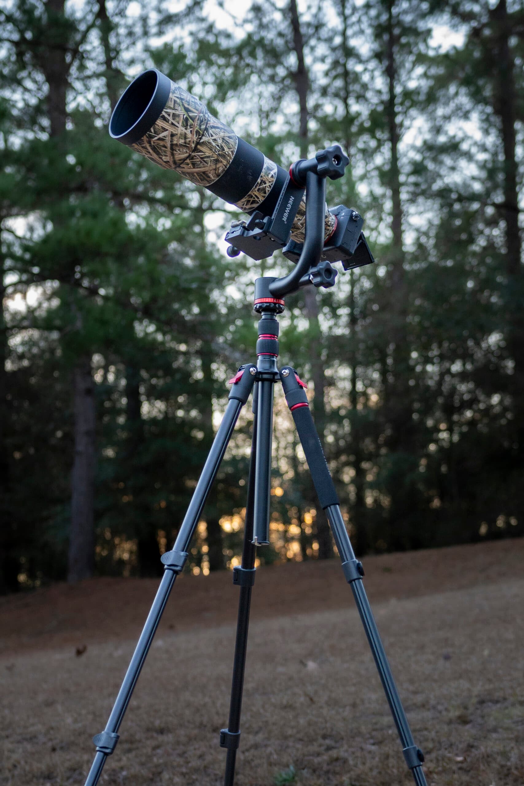 A camera and telephoto lens on a gimbal head atop a tripod, with trees in the background