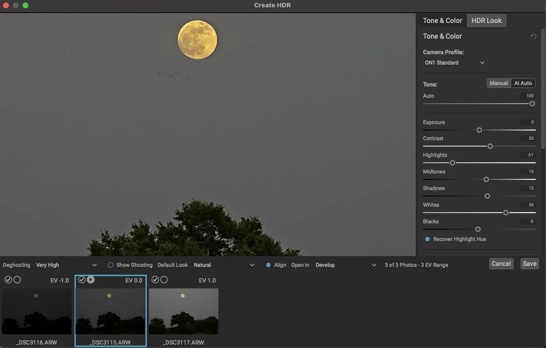 Screenshot of a 3-shot exposure bracket of the moon and a tree in ON1