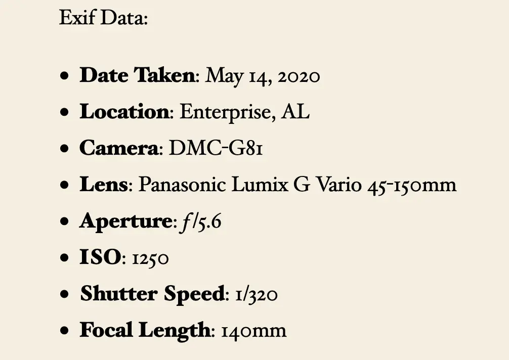 Frontend output of the EXIF shortcode showing camera, aperture, ISO, shutter speed, and focal length