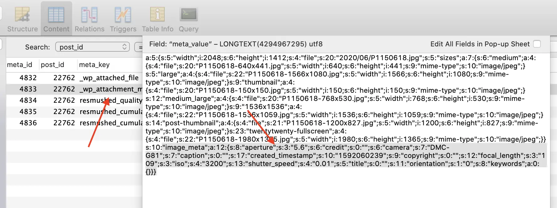 WordPress database showing EXIF data saved as attachment post meta