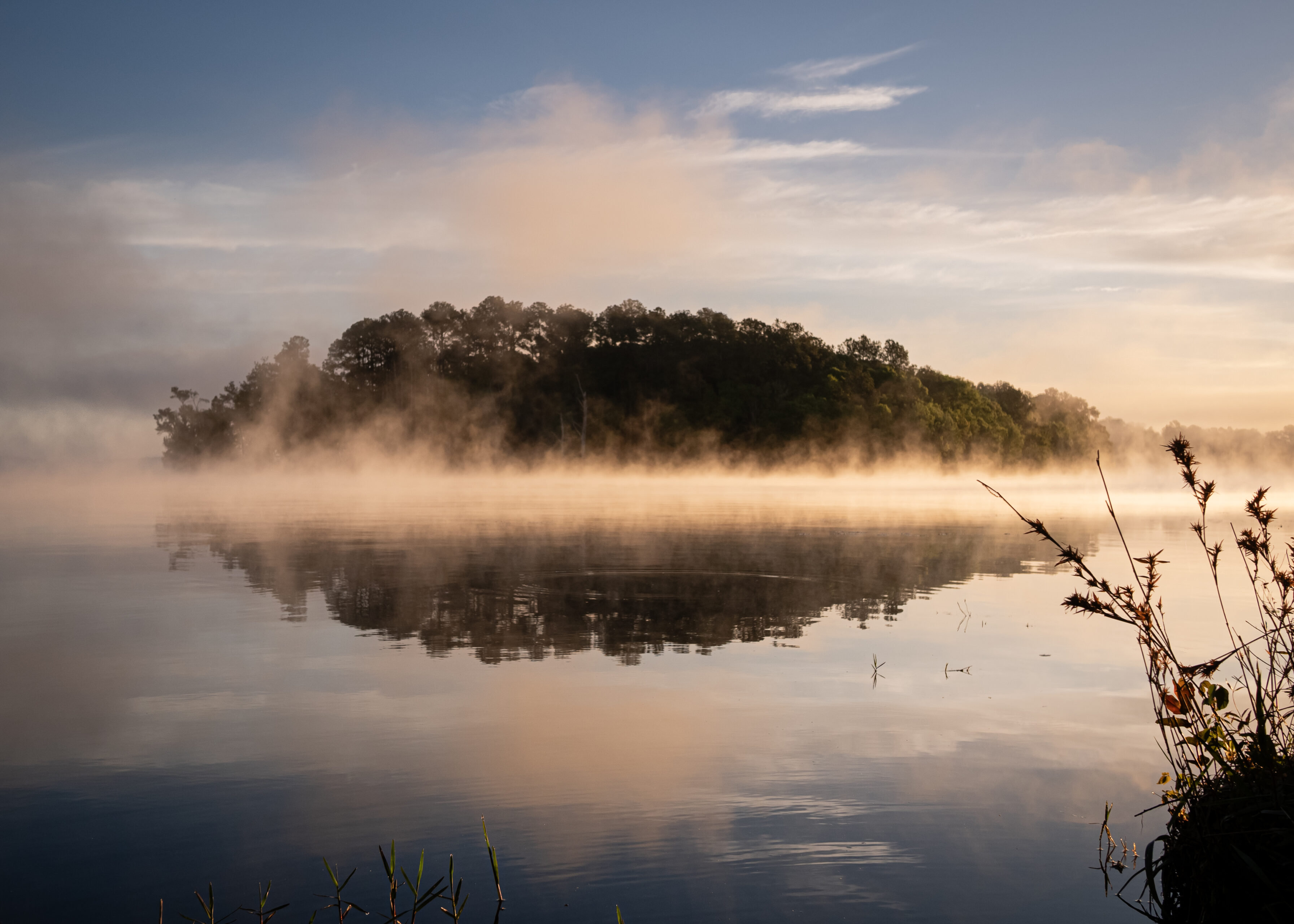 Morning mist rises above Lake Frank Jackson, reflecting a tree-covered island in soft golden light under a calm sky.